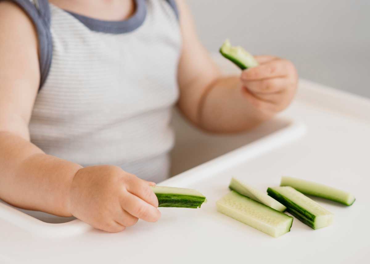 zucchini blw for babies