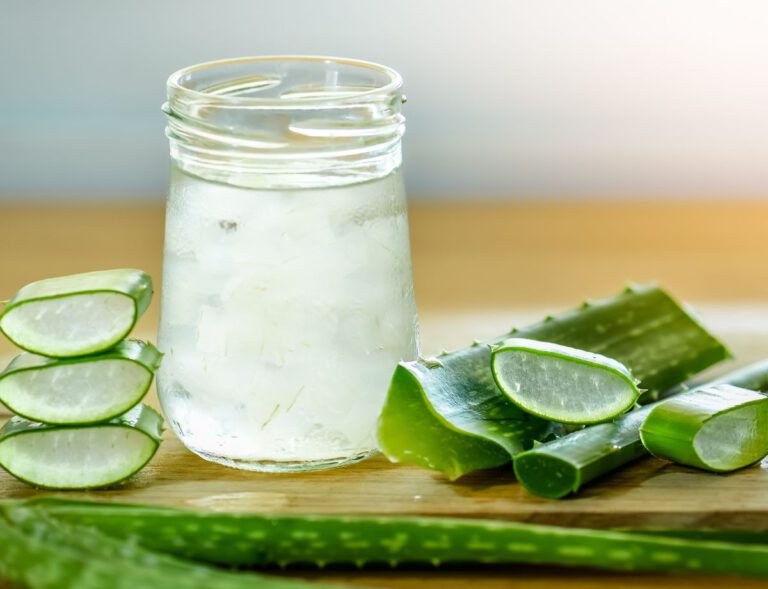 como hacer gel de aloe vera puro casero