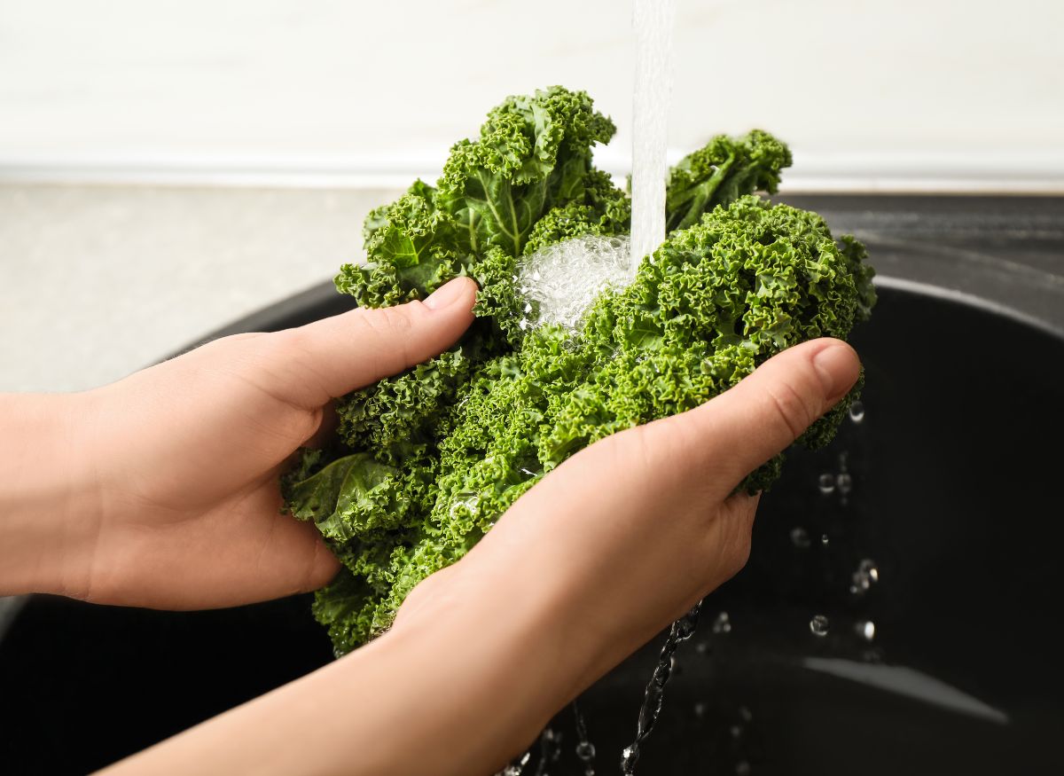 Lavar Kale - Chips De Kale Al Horno O En Freidora De Aire