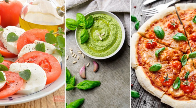 Recetas con Albahaca