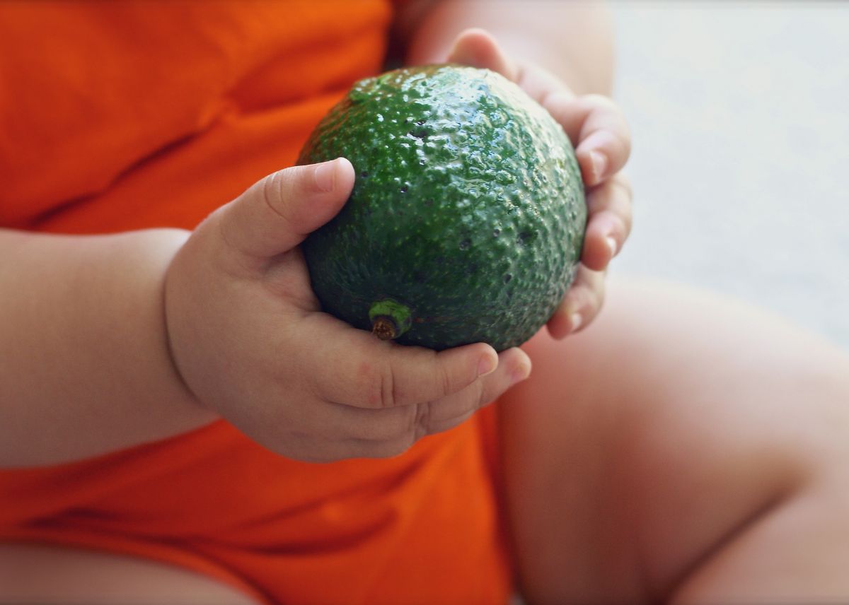 beneficios aguacate para bebes - Guacamole para bebés a partir de 6 meses