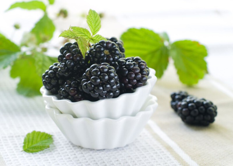 Recetas con Moras