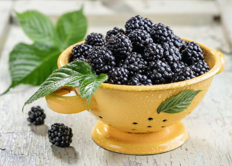 moras
