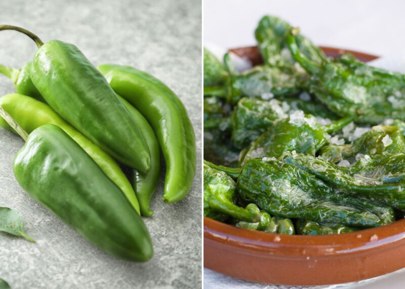 Recetas con Pimiento Verde