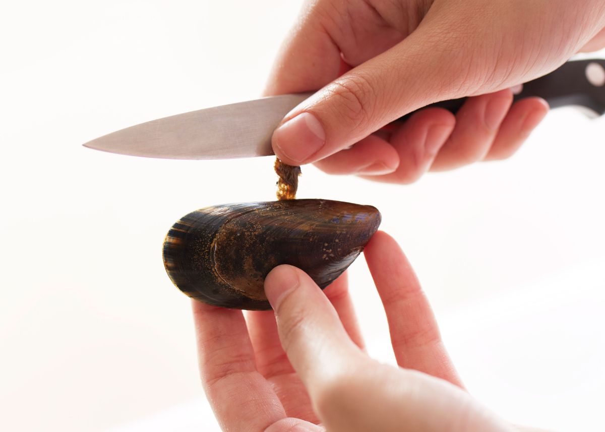 como quitar la barba a los mejillones