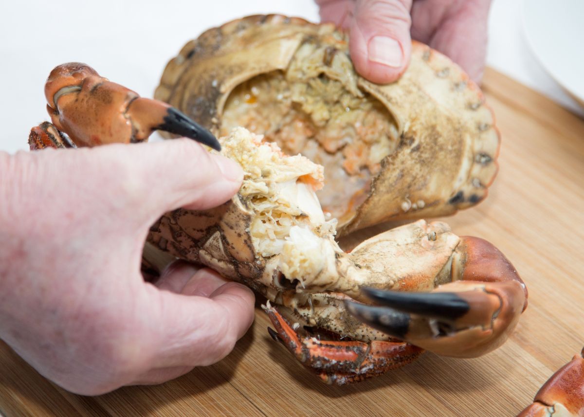 como abrir buey de mar