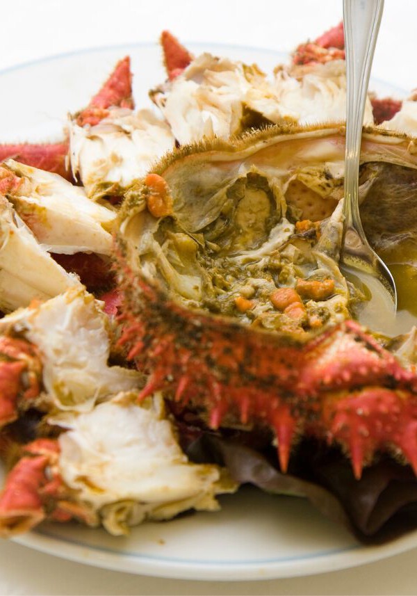 como cocer centollo o centolla