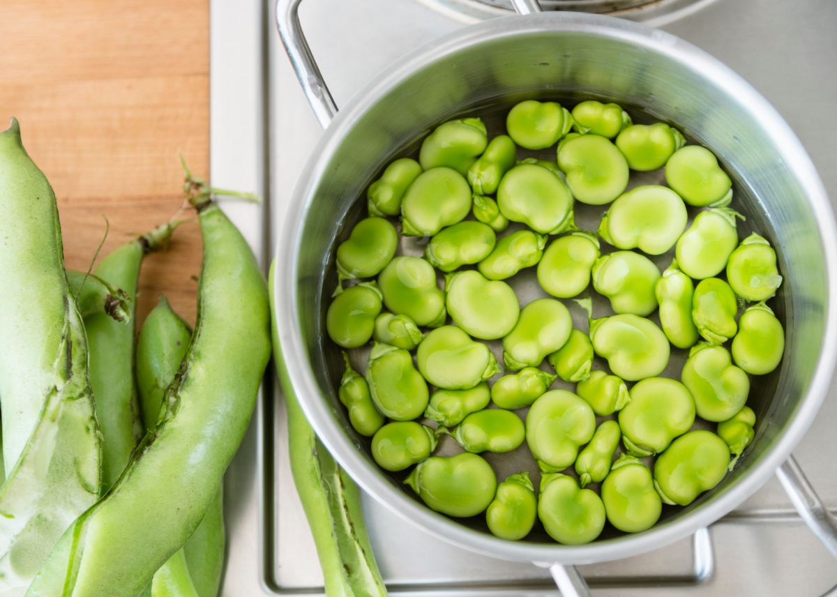 Como Cocer Habas Frescas - Habas Tiernas Salteadas Con Ajo