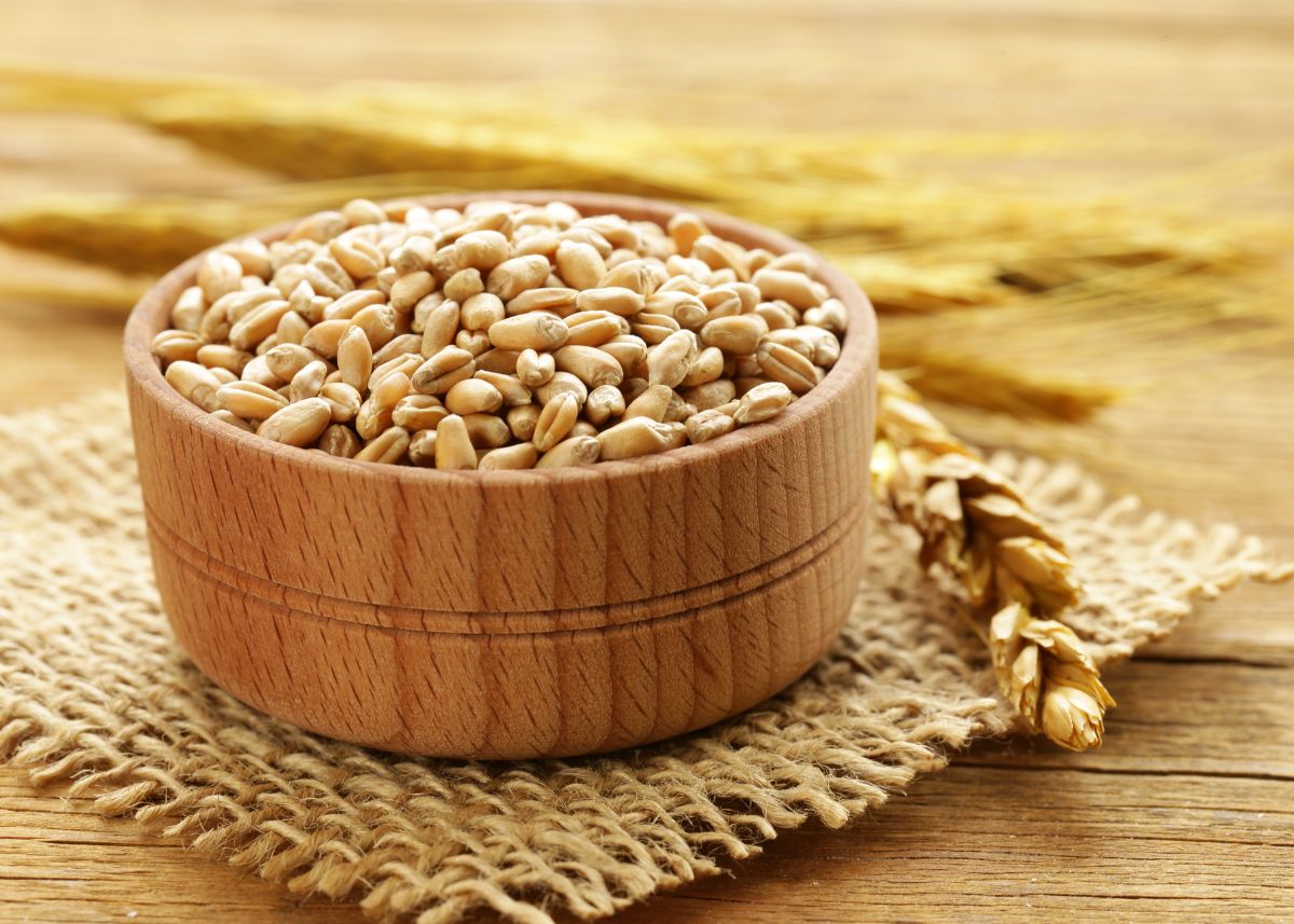 Cereales sin gluten, cómo introducirlos - PequeRecetas
