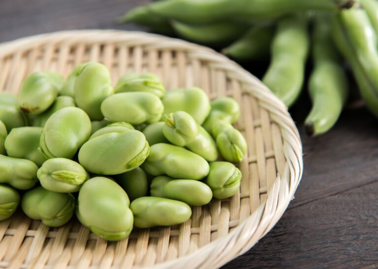 habas frescass o habas tiernas propedades