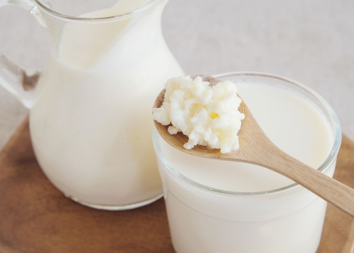 kefir de leche