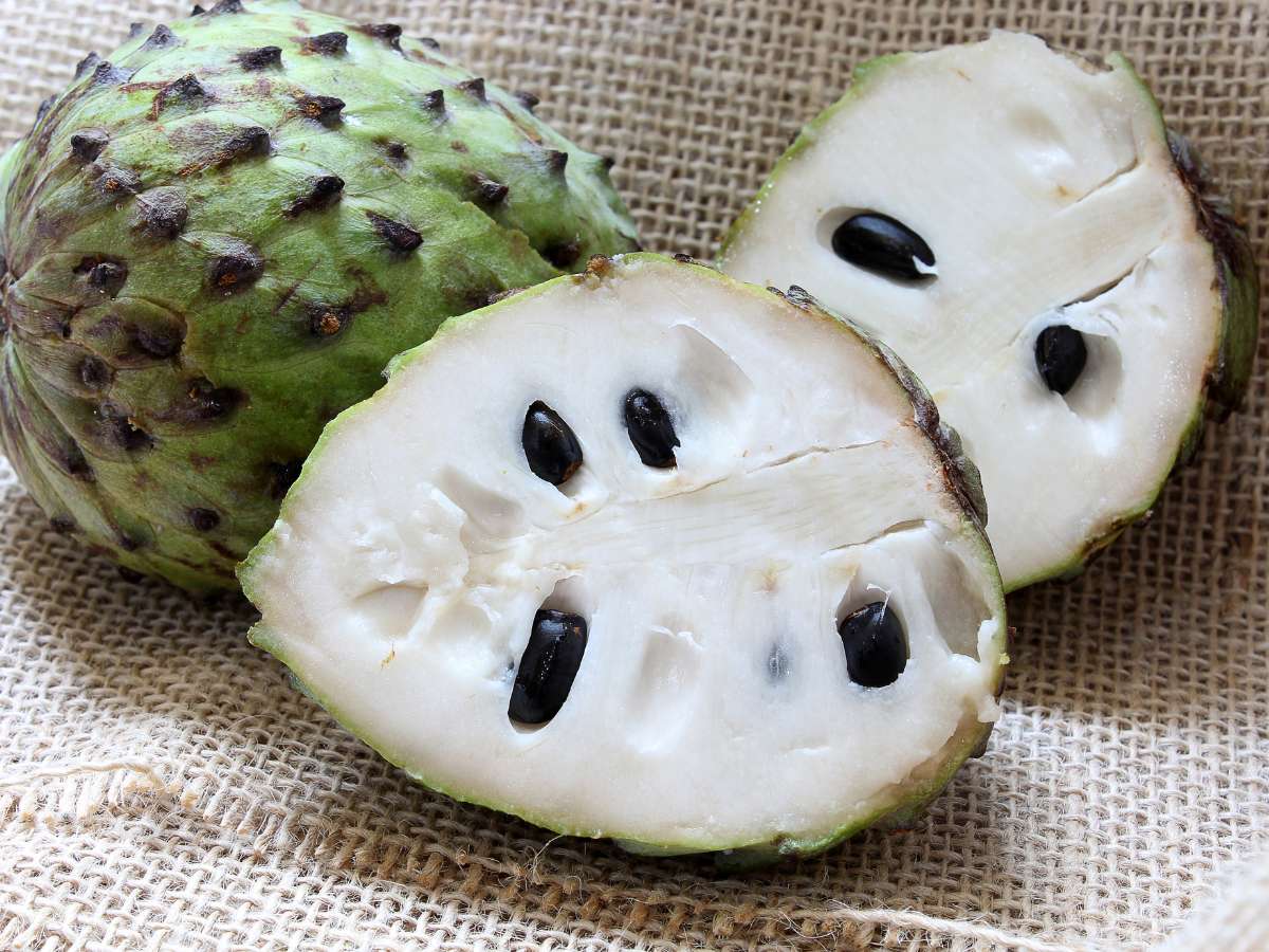 guanabana crontraindicaciones