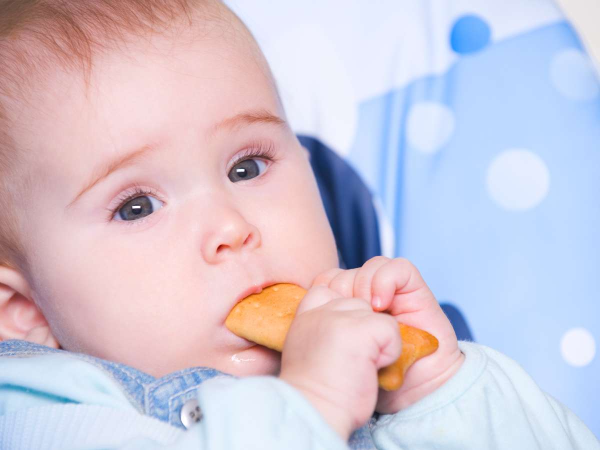 a que edad pueden comer galletas los bebes
