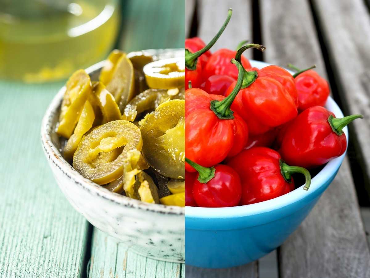 chiles mexicanos picantes