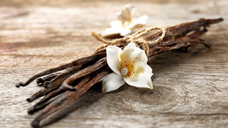 Recetas con Vainilla