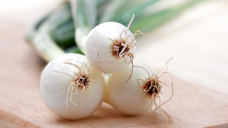 Recetas con Cebolleta