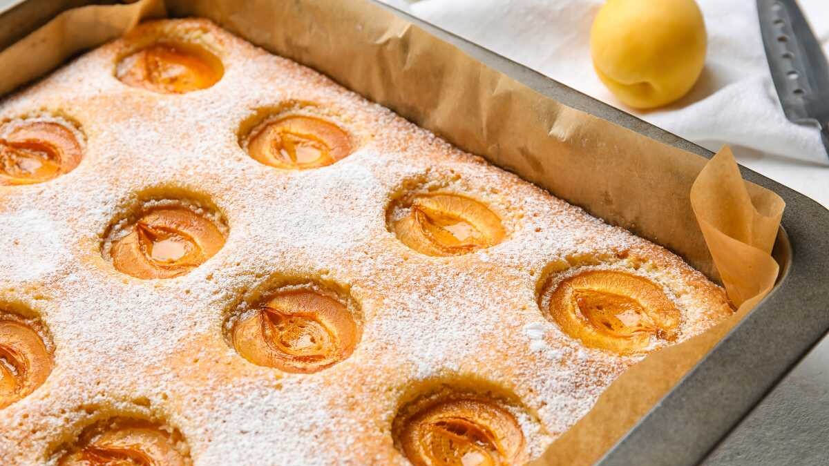 coca de albaricoque mallorquina receta