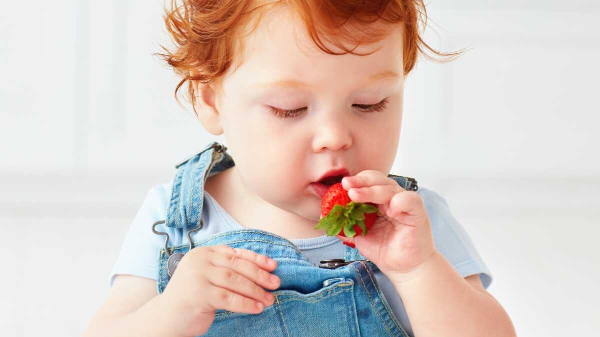 fresas blw para bebés