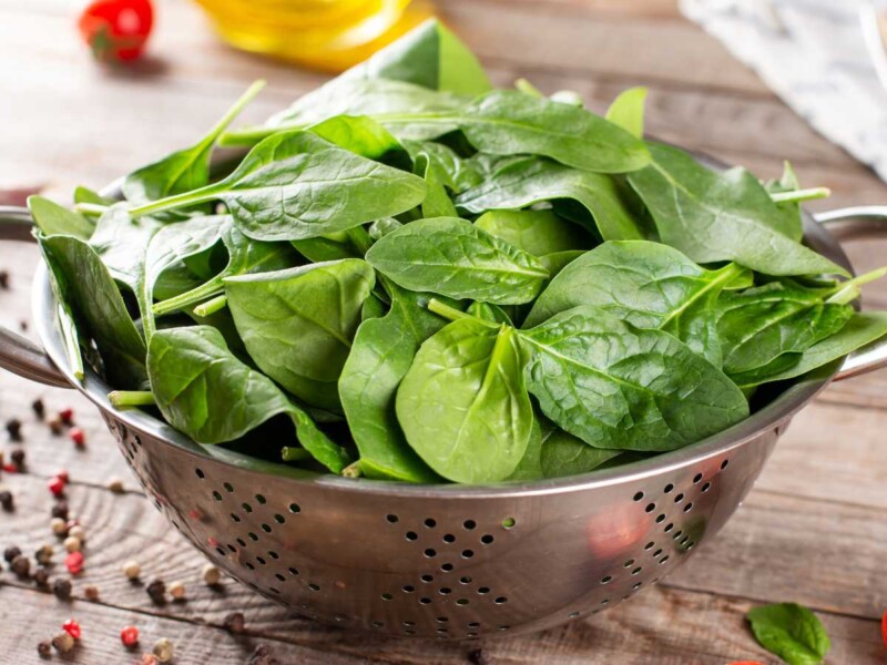 espinacas verdura de otoño