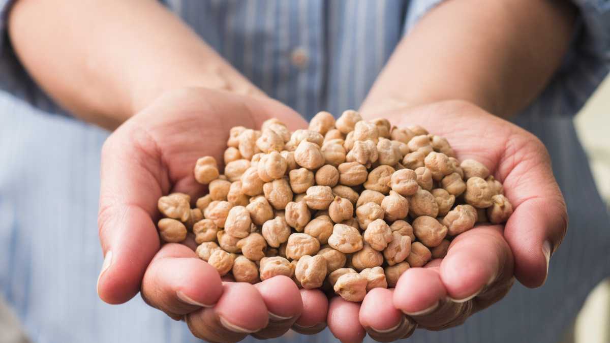 propiedades de los garbanzos