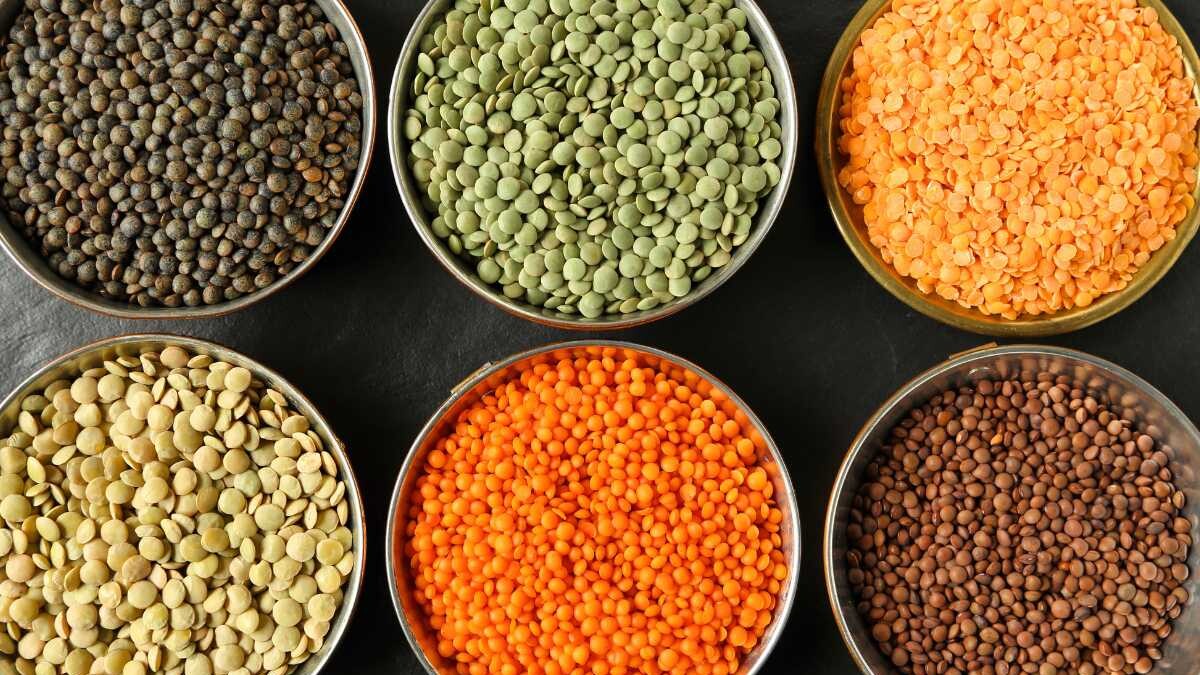 tipos de lentejas