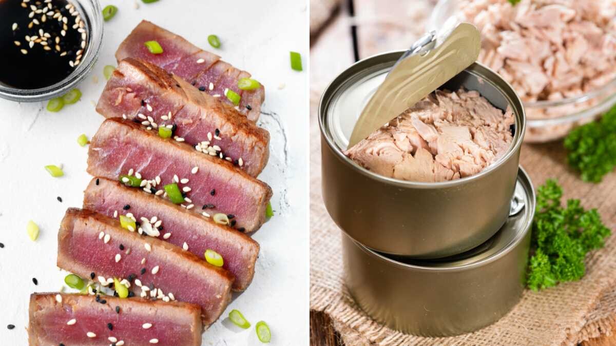 atún beneficios y riesgos mercurio