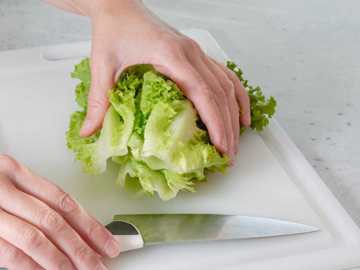 Propiedades de la lechuga y tipos: ¿sabes cuál usar en cada caso ...