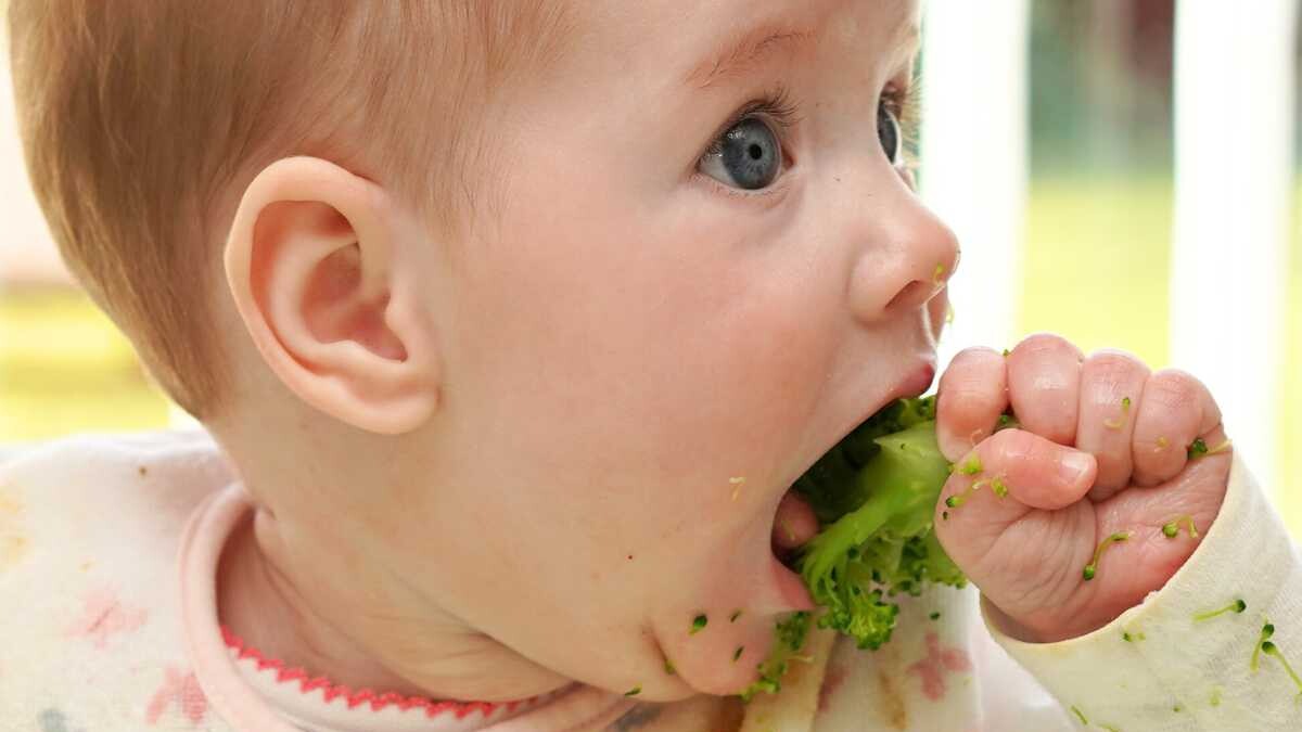 como ofrecer brócoli BLW