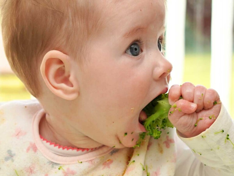 como ofrecer brócoli BLW