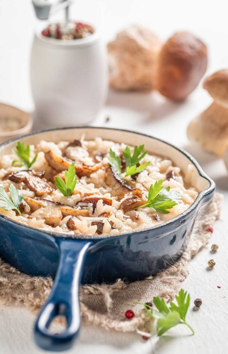 como hacer risotto de boletus edulis