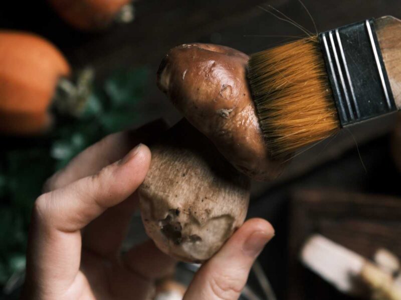 como limpiar boletus o funghi porcini