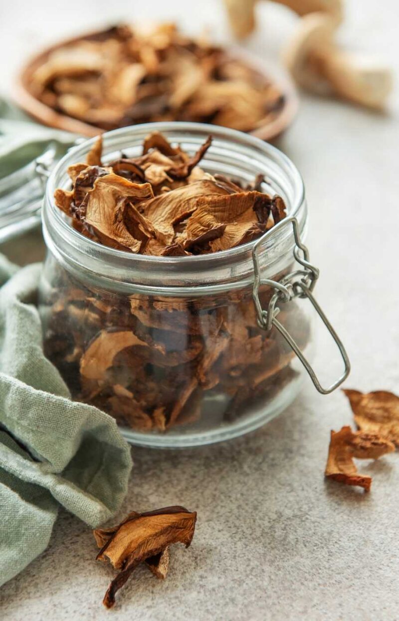 conservar boletus o funghi porcini secos