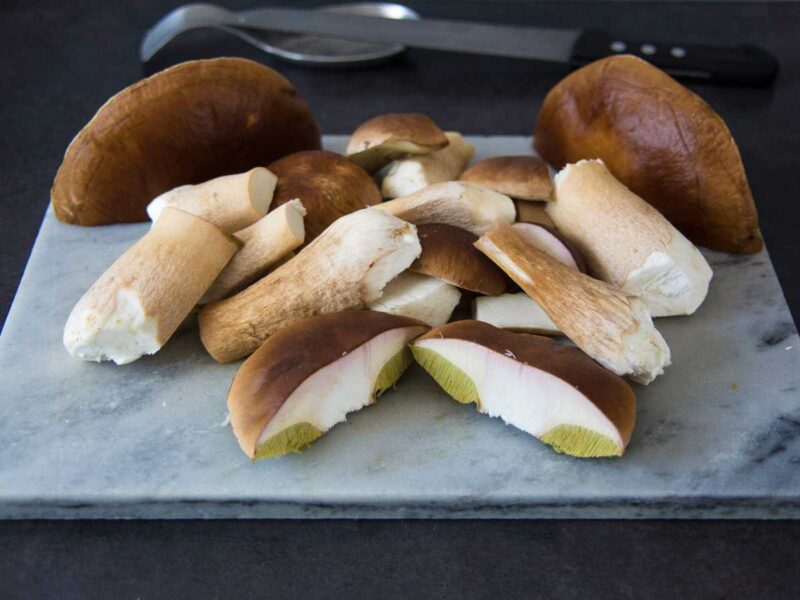 cortar porcini o boletus