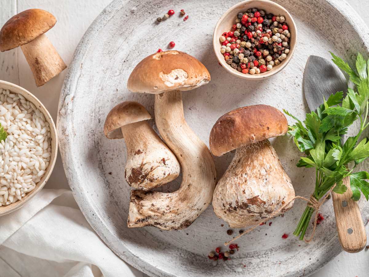 Imagen de los ingredientes