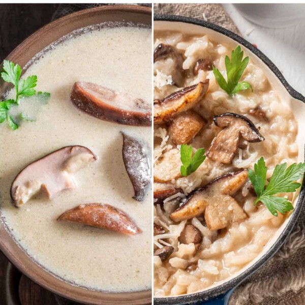 recetas con boletus o funghi porcini