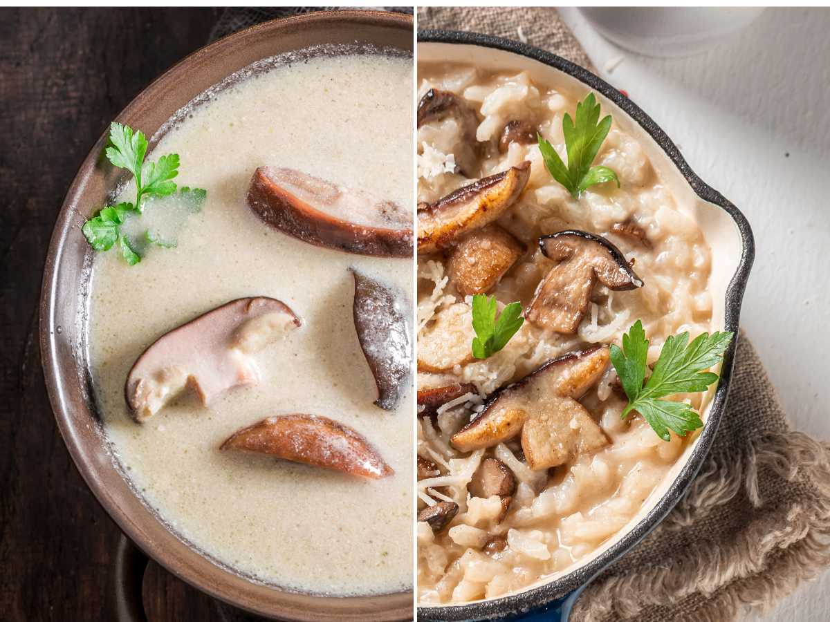 10 recetas con boletus o funghi porcini