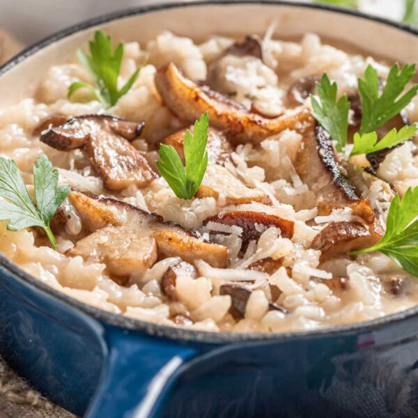 risotto de boletus edulis o funghi porcini