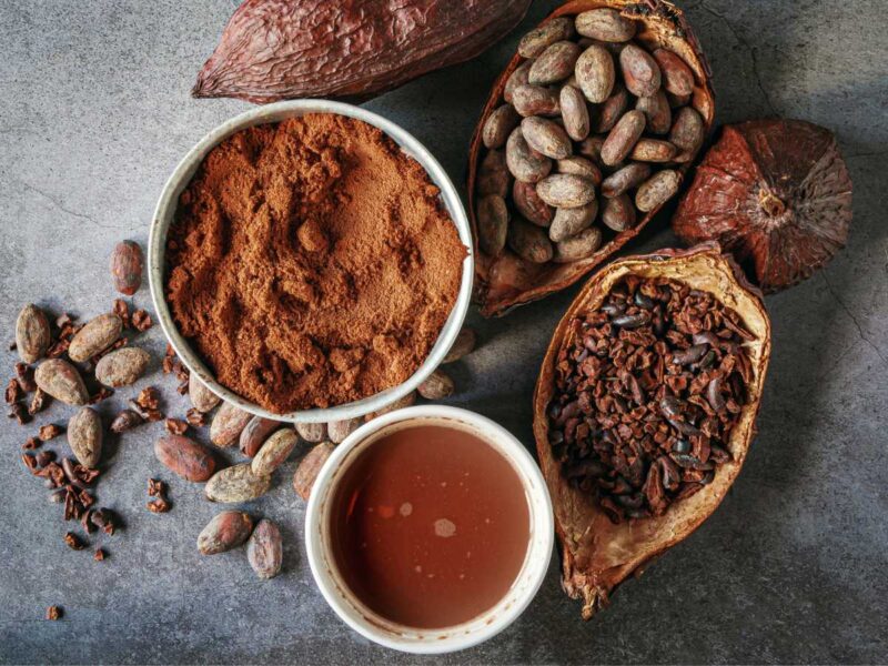 propiedades nutricionales del cacao en polvo puro sin azúcar