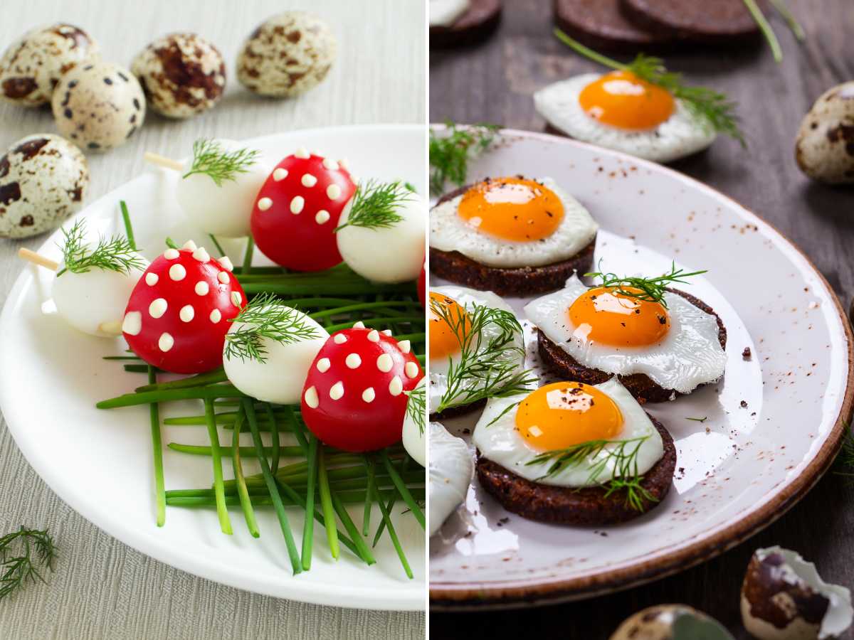 Recetas fáciles con huevos de codorniz