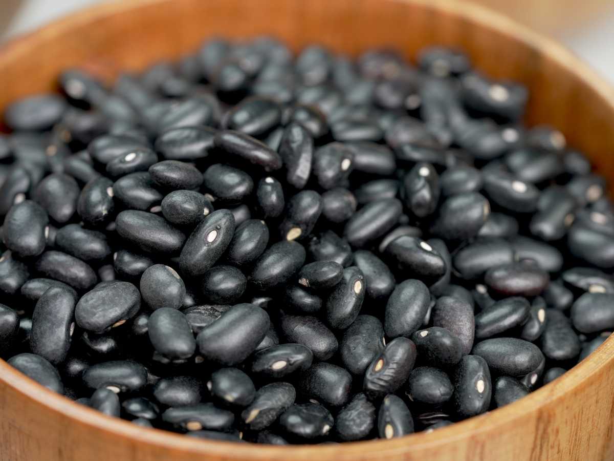 frijoles negros Feijoada brasileña