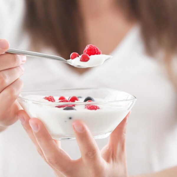 yogures con probióticos