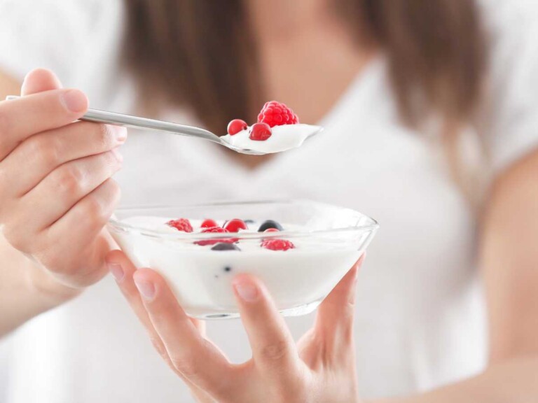 yogures con probióticos