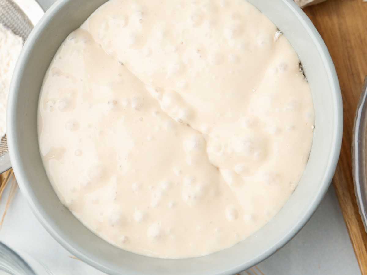 masa fermentada Crumpets: el desayuno británico que no se parece a ningún otro